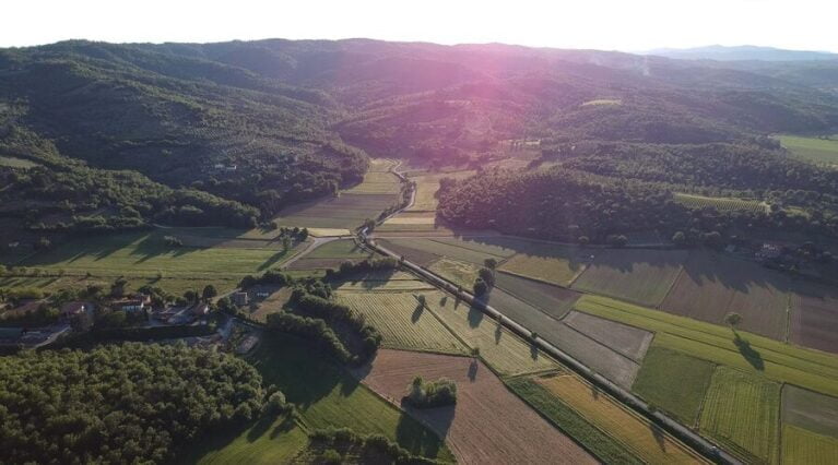 Agricola Maraviglia - Arezzo - Italy - Olive Oil Tasting and Tours - The Good Gourmet