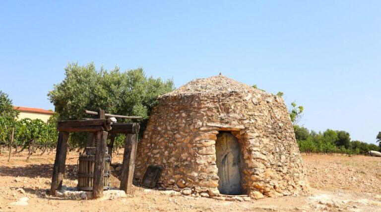 Avgvstvs-Forvm-Penedes-Spain-Vineyard Tour-The Good Gourmet