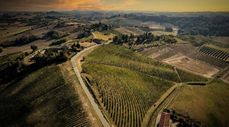 Cantine Sant'Agata - Vineyard Tours - Italy - The Good Gourmet