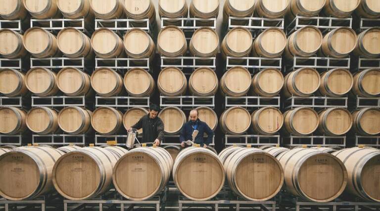 Cormeil-Figeac-Saint Emilion - Vineyard Tour - The Good Gourmet