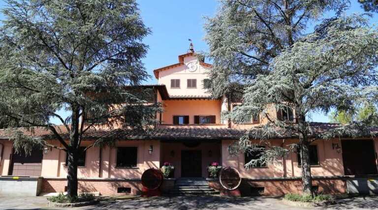 Fattoria del Teso Montacarlo - Luca - Tuscany - Vinryard Tour - The Good Gourmet