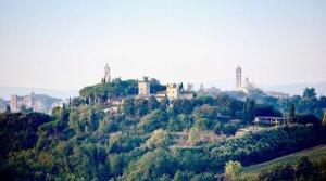 La Torre alle Tolfe - Sienna - Vineyard Tour - Italy - The Good Gourmet
