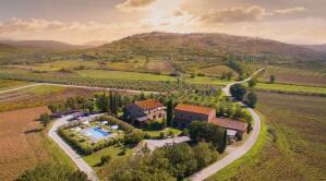 Tenuta Il Cicalino - Olive Oil Producer - Tuscany - The Good Gourmet