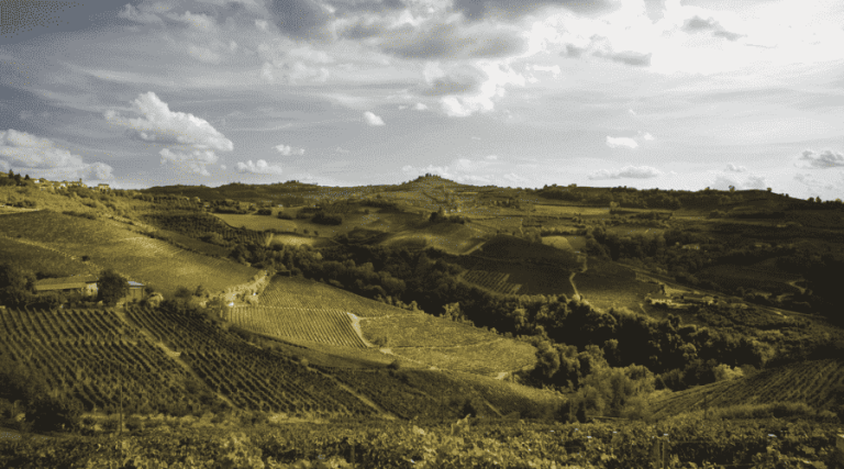 Tenuta La Trava - Piedmont - Vineyard Tour - The Good Gourmet