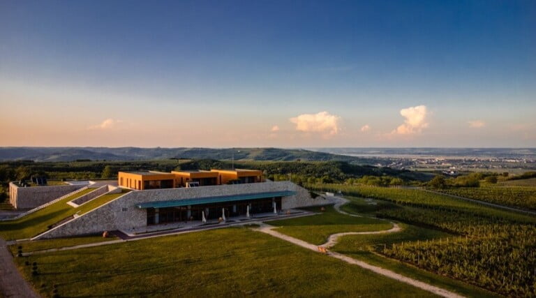 Avincis Winery - Dragasani - Romania - Vineyard Tour - The Good Gourmet