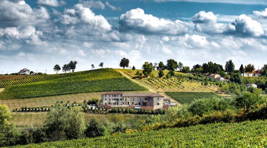Cascina Faletta - Casale Monferrato - Piedmont - Vineyard Tour - The Good Gourmet