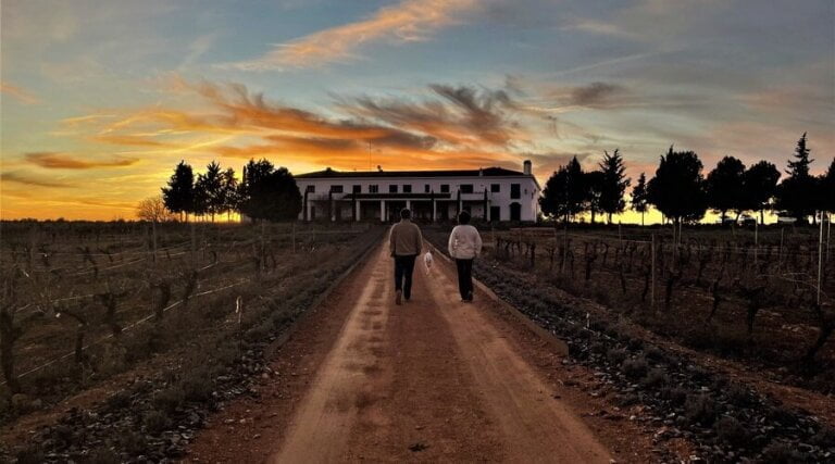 Finca Elez - Albacete - Spain - Vineyard Tour - The Good Gourmet