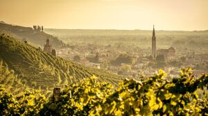 Merotto Spumanti - Valdobbiadene - Vineyard Tour - The Good Gourmet