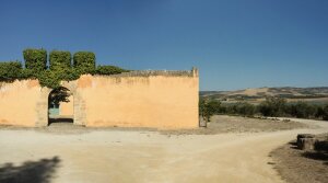 Planeta Ulmo - Wine Tasting and Vineyard Tour - Sicily - The Good Gourmet