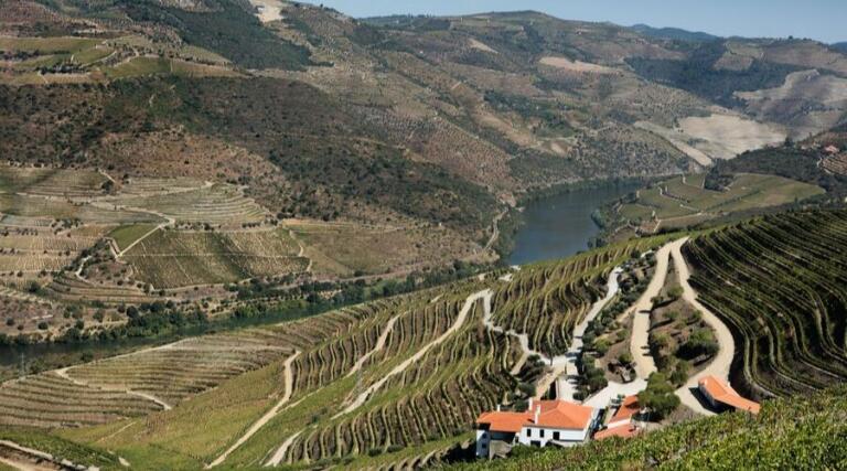 Quinta da Gricha - Douro - Portugal - Accommodation - Wine Tour - The Good Gourmet