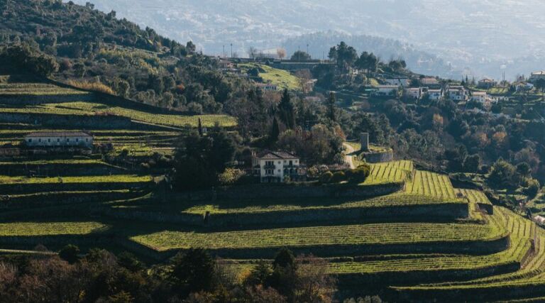 Quinta de Santa Teresa - Baiao - Portugal - Vineyard Tour - The Good Gourmet