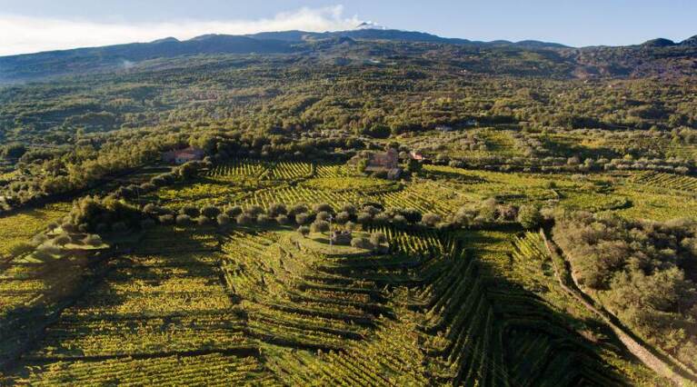 Tascante - Etna - Wine tourism - The Good Gourmet