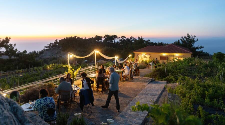 Afianes - Greece - Wine Tasting - The Good Gourmet