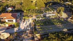 Afianes - Ikaria - Greece - Wine Tourism - The Good Gourmet