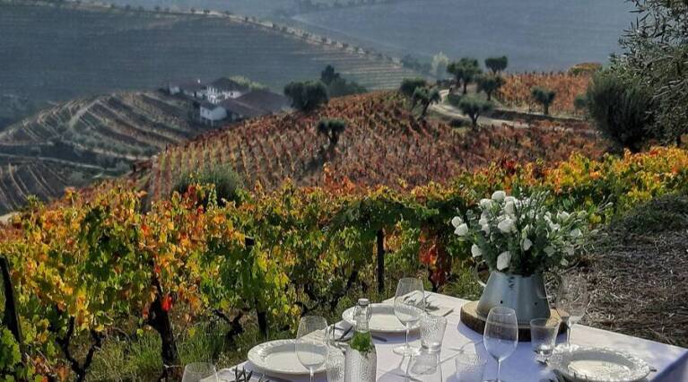 Morphosis - Wine Tourism - Portugal - The Good Gourmet
