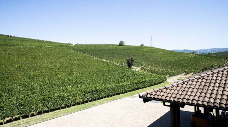 Cadia Wines - Piedmont - Italy - Wine Tasting - The Good Gourmet