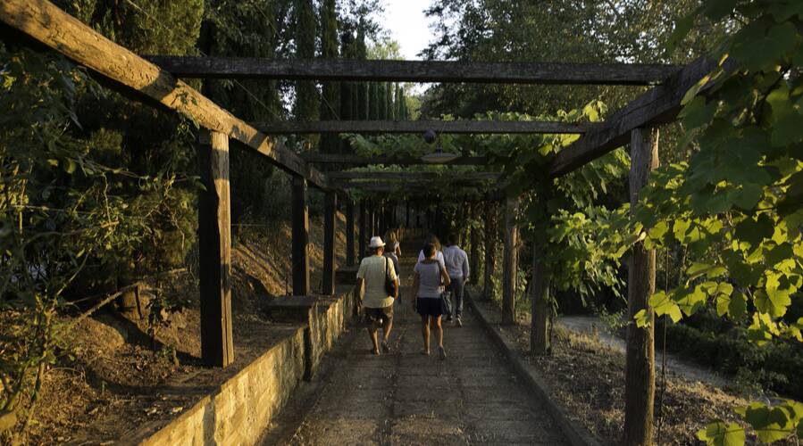 Fattoria Uccelliera - Vineyard Tours - Italy - The Good Gourmet