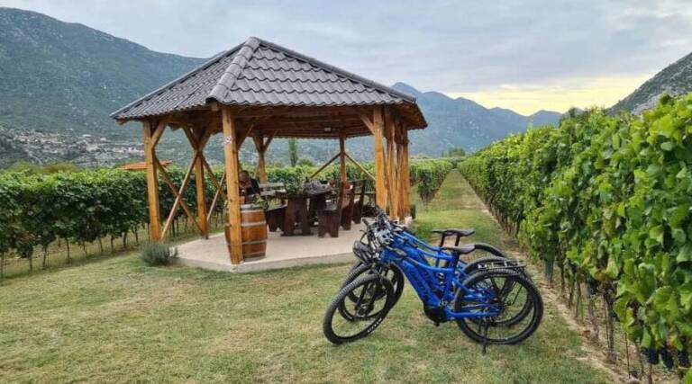 Krystal Modus - Vineyard Tours - Dalmatia - Croatia - The Good Gourmet