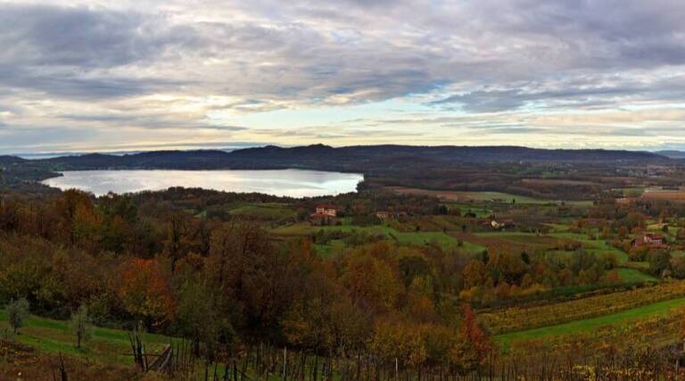 La Masera - Erbaluce - Wine Tasting - Turin Italy - The Good Gourmet