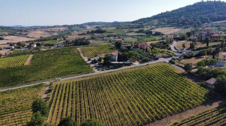 Tenuta La Viola - Wine Tourism - Emilia Romagna - The Good Gourmet