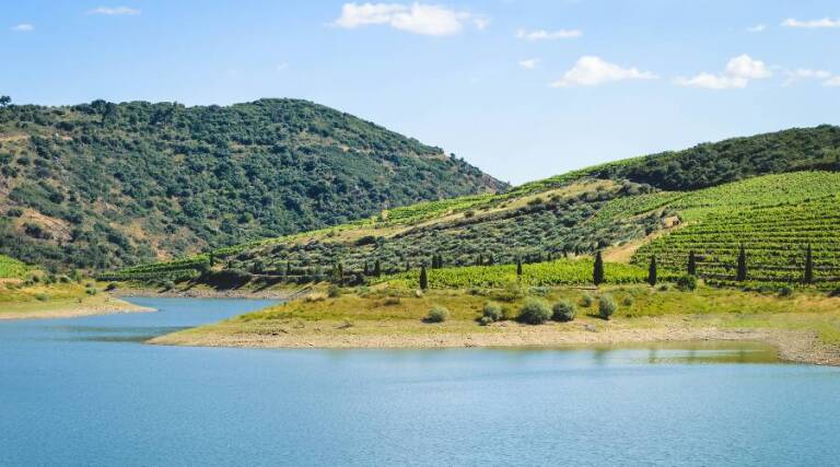 Vineadouro - Wine Tourism Douro Valley - Portugal - The Good Gourmet