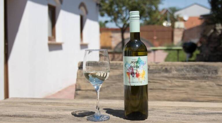 Vini Sklep - Wine Tourism - Czech Republic - The Good Gourmet