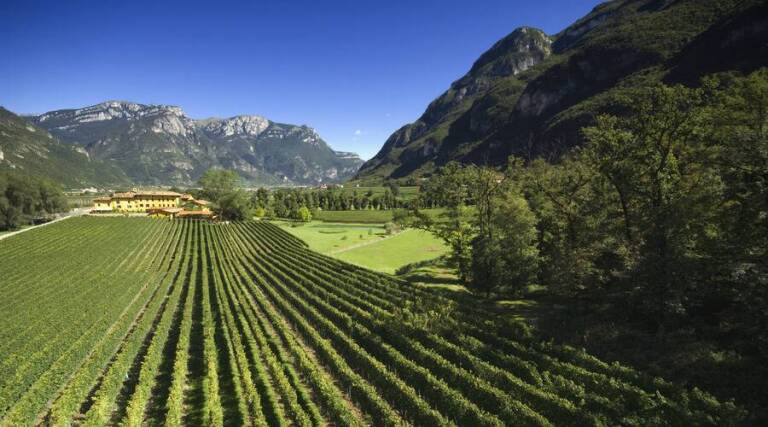 Borgo San Leonardo - Trento - Wine Tourism - Italy - The Good Gourmet