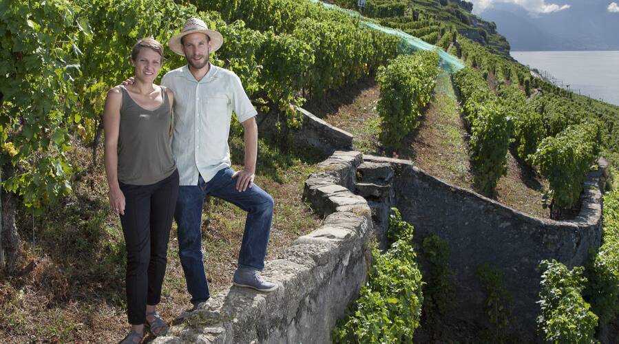 Domaine Jean Duboux- LAvaux - Switzerland - Wine tasting - The Good Gourmet