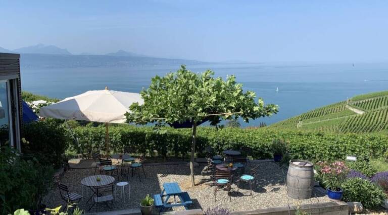 Domaine Pascal Dance - Lavaux- Switzerland - Wine Tasting - The Good Gourmet