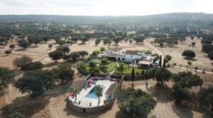 Herdade dos Alfanges - Alentejo - Olive Oil Tasting - Portugal - The Good Gourmet