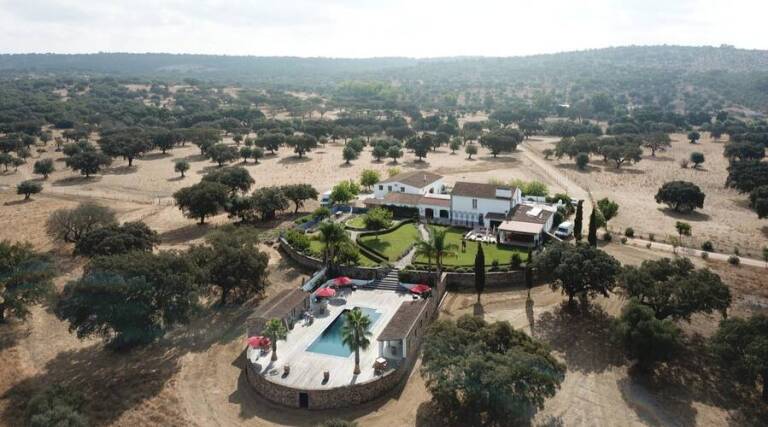 Herdade dos Alfanges - Alentejo - Olive Oil Tasting - Portugal - The Good Gourmet