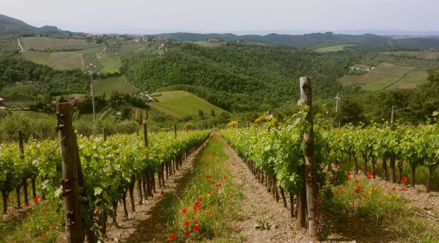 La Casa di Bricciano - Chianti - Italy - Wine Tasting - The Good Gourmet