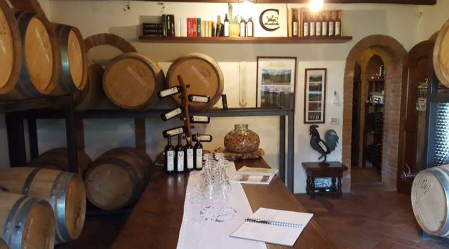 La Casa di Bricciano - Chianti - Italy - Winery tour - The Good Gourmet