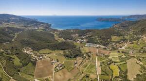 La Sabatinaccia - Elba - Italy - Olive oil tasting - The Good Gourmet