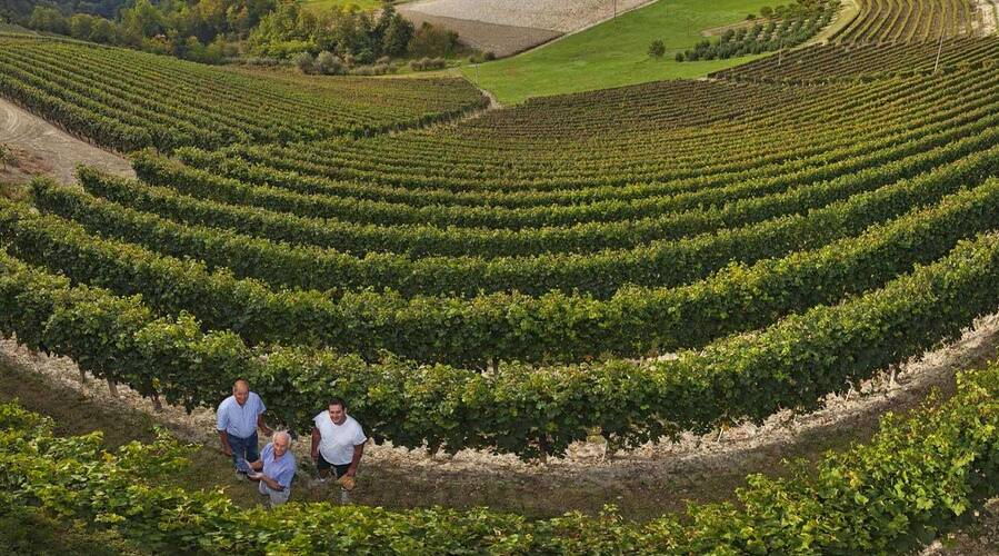 Manzone Fratelli - Langhe - Piedmont - Italy - Wine tourism - The Good Gourmet
