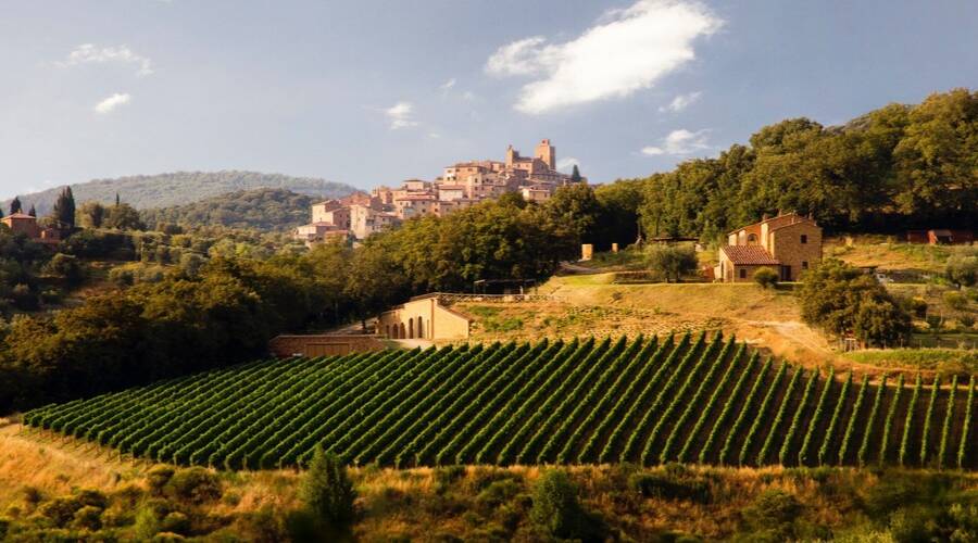 Podere Albiano - Tuscany - Wine Tourism - The Good Gourmet