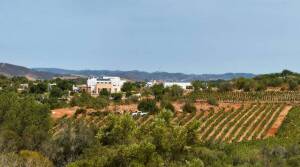 Quinta dos Sentidos - Algarve - Portugal - Wine Tourism - The Good Gourmet