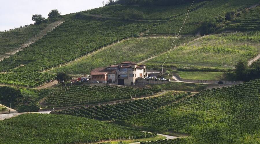Rapalino - Piedmont - Italy -Wine Tasting - The Good Gourmet
