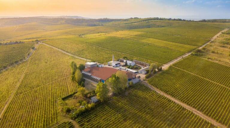 Vinarte - Romania - Super Premium Wines - Wine Tasting - The Good Gourmet