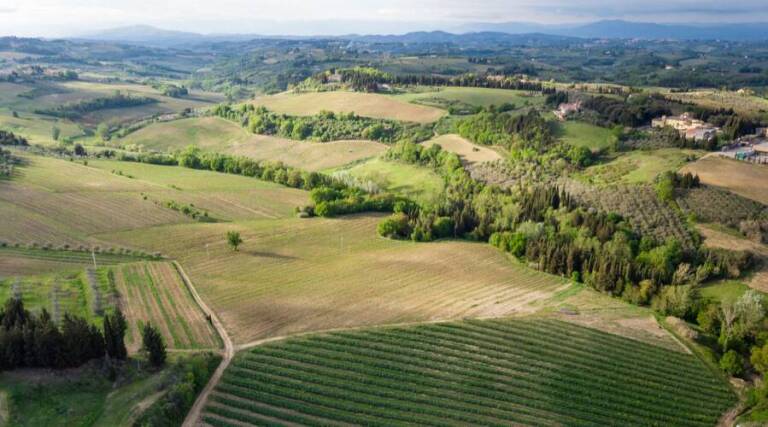 Fattorie Giannozzi - Wine Tourism - Olive Oil Tourism - Tuscany - The Good Gourmet