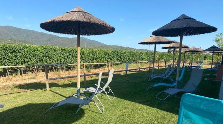 Il Duchesco - Maremma - Wine and Olive oil Tasting - Italy - The Good Gourmet