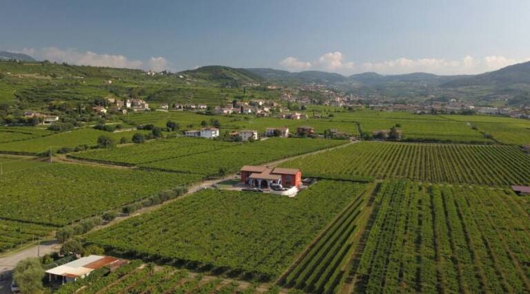 La Dama Vini - Valpolicella - Italy - Wine Tasting - The Good Gourmet