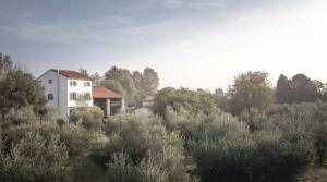 Paneolio - Verona - Wine and Olive oil Tasting - The Good Gourmet