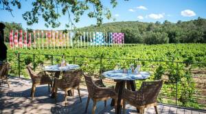 Peyrassol - Cotes de Provence - France -Wine Tasting - The Good Gourmet