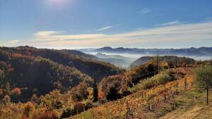 Sabarato Winery - Langhe - Wine Tasting - The Good Gourmet