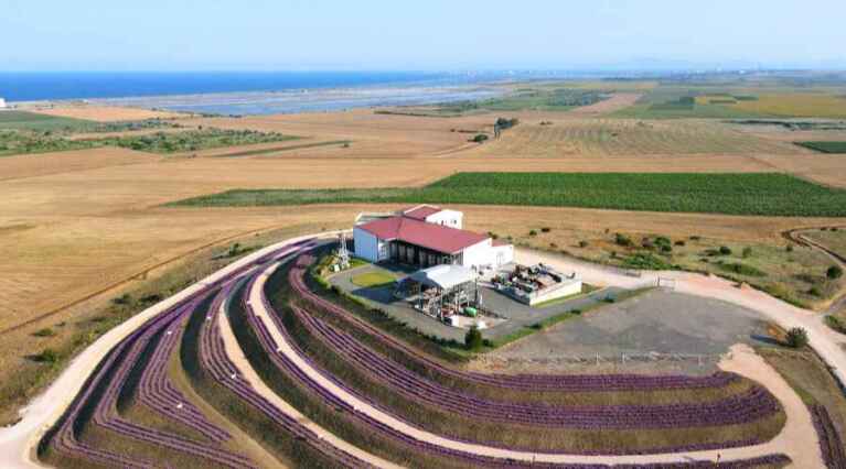 Dives Winery - Wine Producer - Bulgaria - Black Sea - The Good Gourmet