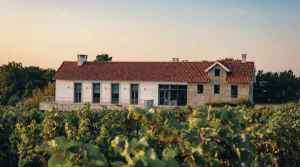 Quinta de Madre Agua - Wine Tasting - Portugal - The Good Gourmet