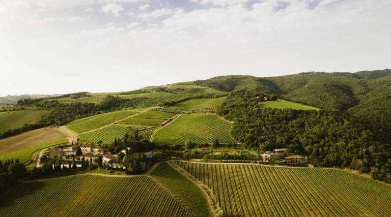 Tenuta di Campomaggio - Chianti - Italy - Wine Tasting - The Good Gourmet