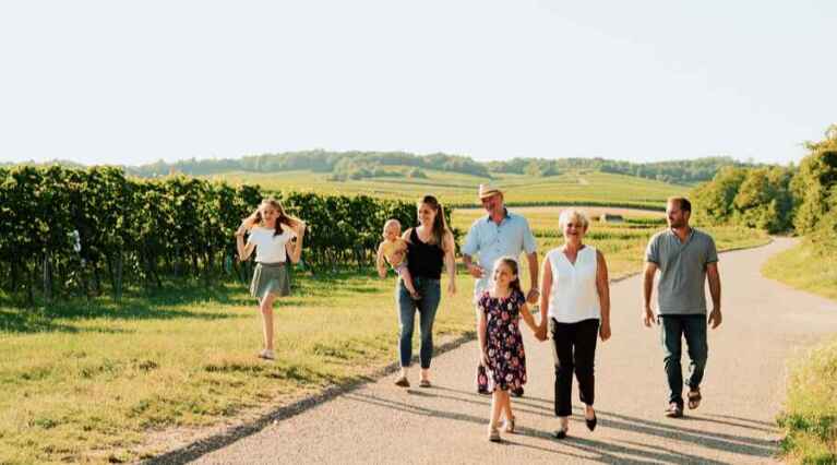 Weingut Netzl - Camuntum - Austria - Wine Tourism - The Good Gourmet