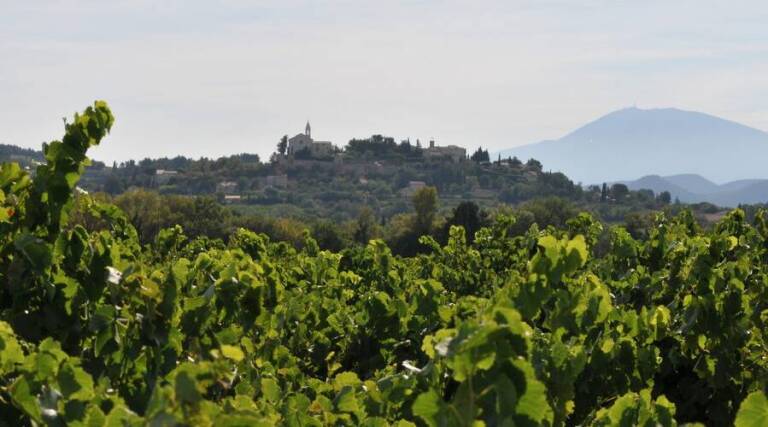 Domaine Clos Romane - Cairanne - France - Wine Tasting - The Good Gourmet
